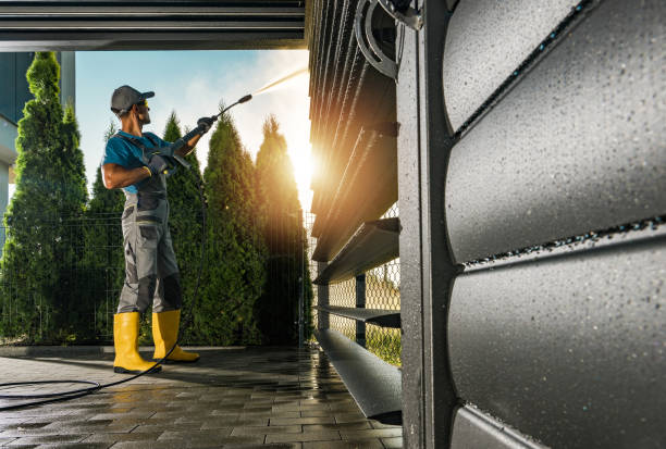 Best Pressure Washing Contractors  in Boles Acres, NM