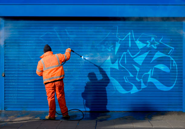 Best Best Pressure Washing Companies  in Boles Acres, NM