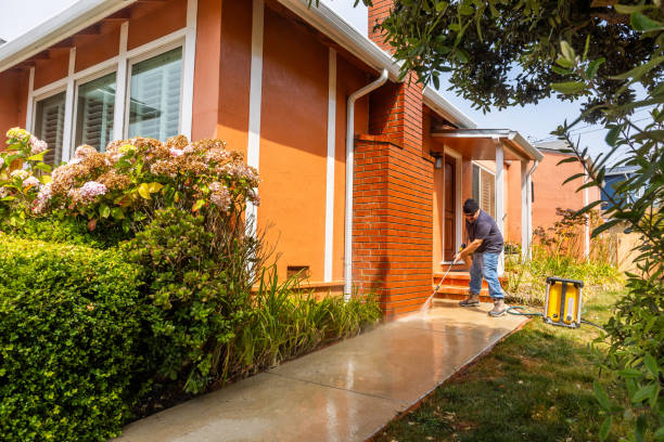 Best Local Pressure Washing Services  in Boles Acres, NM
