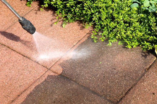 Best Commercial Building Pressure Washing  in Boles Acres, NM